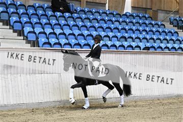 182241_kbb_01_Z093040.JPG
