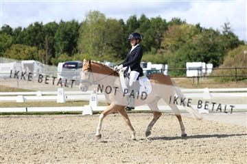 181894_mtp_05_R62_4802.JPG