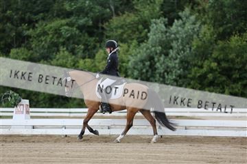156196_nn_01_IMG_5887.JPG