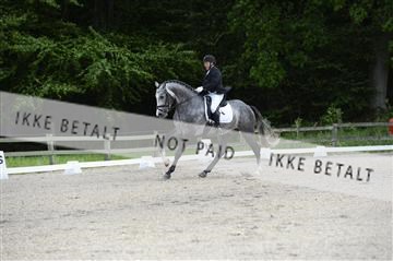 139898_ms_01__MS28317.JPG