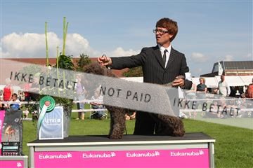 130370_se_03_IMG_7835.JPG