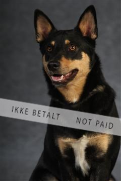 132082_le_ 01_IMG_0735.JPG