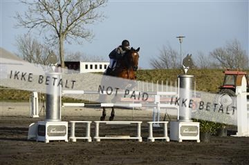 139403_ms_01__MS18927.JPG