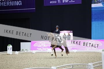 182194_mlm_02_R62_0444.JPG