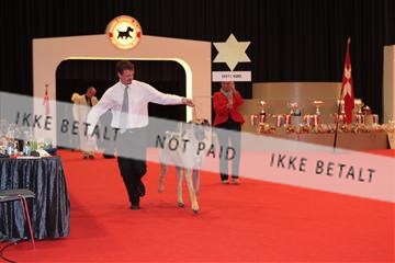 126827_tl_04_IMG_0189.JPG