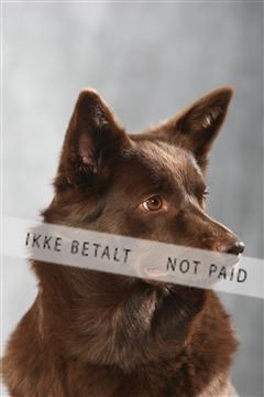 129608_le_ 01_0954.JPG