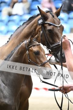 181754_kbb_01_Z093782.JPG