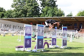 181805_mlm_02_R62_6802.JPG