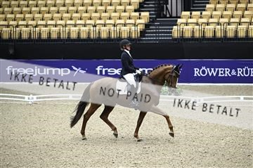 182194_kbb_01_Z095960.JPG