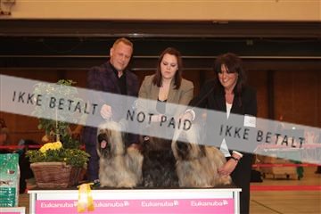 124188 _tl_02_IMG_9580.JPG