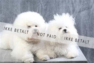 129608_le_ 01_0499.JPG