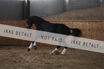 139206_kl_1_8M1Q5347.JPG