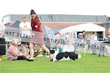 181564_rin_01_R62_8526.JPG