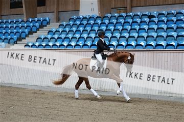 181887_mtp_04_R62_8223.JPG