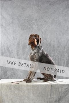 128239_le_ 06_0025.JPG