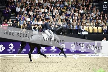 182194_avh_07_3972.JPG
