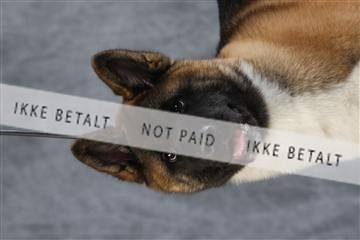 128239_le_ 06_0041.JPG