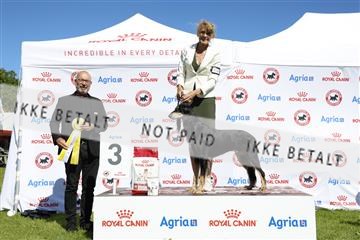 181564_ch_01__62_9955.JPG