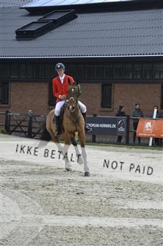 139644_abo_09__AB10525.JPG
