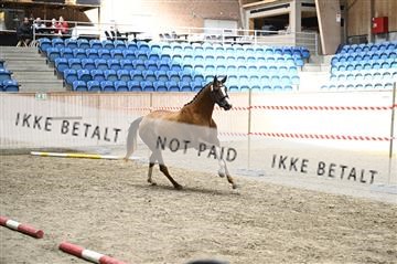 181754_kbb_01_Z093317.JPG