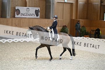 182176_kbb_01_Z094099.JPG