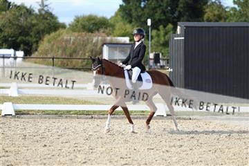 181894_mtp_05_R62_5209.JPG