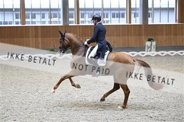 182176_kbb_01_Z094625.JPG