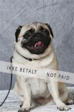 6068_ma_04_IMG_5305.JPG