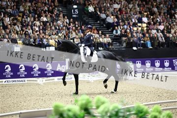 182194_avh_07_3996.JPG