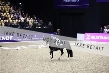 182194_avh_05_2774.JPG