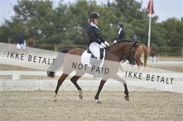 169624_kbb_01__KBB7930.JPG