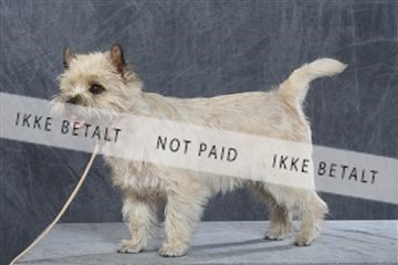 130054_le_ 03_0099.JPG