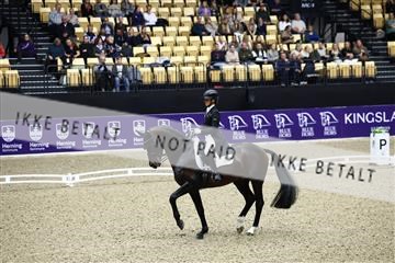 182194_avh_05_2458.JPG