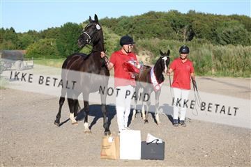 181756_mtp_04_R62_3630.JPG