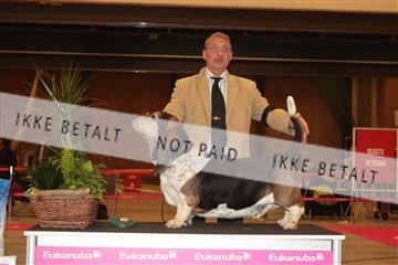 124188 _tl_02_IMG_9591.JPG