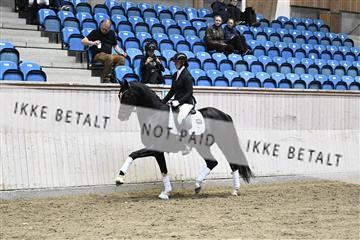 182241_kbb_01_Z094409.JPG