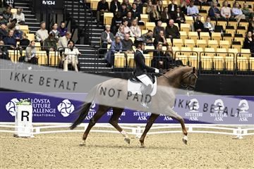 182194_kbb_03_Z090647.JPG