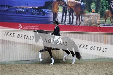 181887_mtp_05_R62_9804.JPG