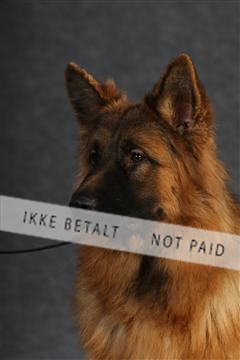 132082_le_ 01_IMG_0743.JPG