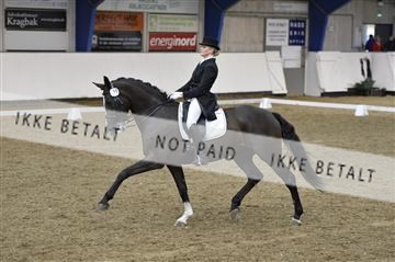 140040_abo_02__AB19643.JPG