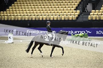 182194_kbb_01_Z095787.JPG
