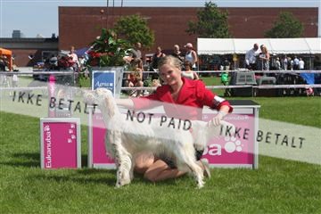 130370_se_03_IMG_7450.JPG