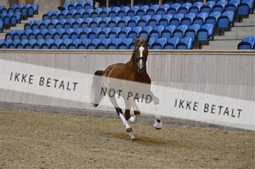 139327_abo_01__AB10220.JPG