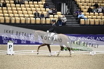 182194_kbb_01_Z096887.JPG