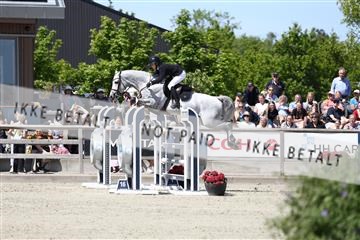 181436_avh_03_4425.JPG
