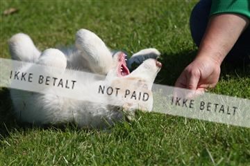 130370_se_03_IMG_6838.JPG