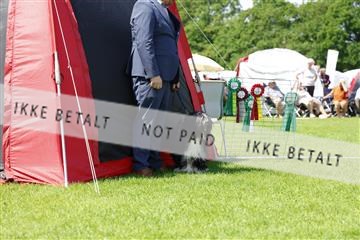 181564_kar_01__62_7482.JPG