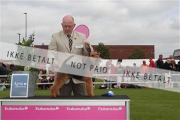 130370_tl_01_IMG_7351.JPG
