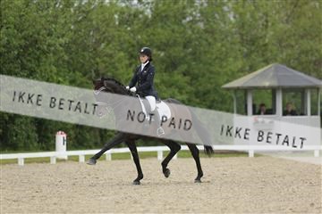 139835_sg_02_IMG_8474.JPG