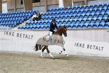 182241_kbb_01_Z094920.JPG